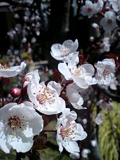 (untitled)