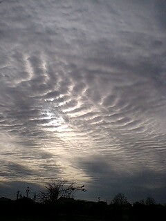 (untitled)